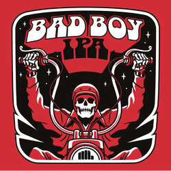 Höganäs Bryggeri Bad Boy IPA 6.0% 24x330ml Bottle
